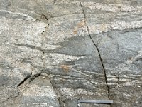 DSC1990 DxO  Migmatites sombres parcourues de filons de pegmatite granite