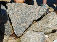 DSC2061 DxO  Granite de l'Aber-Ildut  : granite à deux feldspaths, orthose ici rose et plagioclase blanc, biotite et quartz. Daté de 300 Ma, il est en alignement avec les plutons de Carantec, Ploumanac'h et Flamanville.