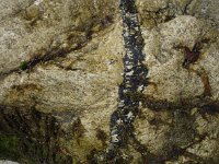 DSC0026  Filon tardif de tourmaline dans le granite