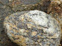 DSC2150 DxO  La sillimanite (= fibrolite) est un minéral indicateur d'un métamorphisme de haute température (> 600°).