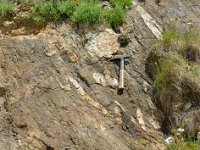 DSC2159 DxO  Filon d'aplite ondulé dans les migmatites. Sa mise en place est contemporaine des migmatites. Il s'est injecté alors que celles-ci étaient encore chaudes et ductiles.