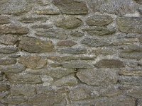 DSC0083