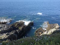 DSC0107  Les orthogneiss de Brest-Landivisiau datés de 460 à 500 Ma