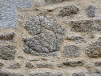 _DSC2481_DxO Une boule de trondhjemite