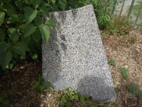 DSC2102  Ce bloc isolé permet de confirmer qu'il s'agir du granite de l'Aber Ildut.