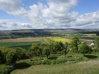 DSC2103  Panorama depuis le sommet de la colline, vers le sud. La vallée de la Marne entaille la plate-forme de Brie. On trouve dans le fond de vallée, des cultures céréalières, du colza, sur les pentes, la vigne qui demande un sol bien drainé, et en bordure du plateau, de la forêt.