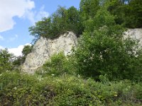 DSC2111  Falaise de calcaire blanc du Lutétien moyen