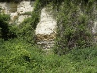 DSC2112  De bas en haut, les sables du Cuisien (Yprésien) avec un niveau rouille ferrugineux qui marque l'émersion avant la transgression marine du Lutétien moyen, le niveau de calcaire blanc.