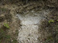 DSC2128  Marnes à blocs de craie  durcie recristallisée, associés à des argiles de précipitation chimique. Ceci témoigne d'une période d'émersion après le Crétacé. Premier dépot ici du tertiaire, Thanétien- Paléocène.