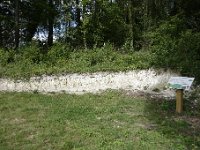 DSC2142  Niveau 1 : affleurement de la craie du Campanien -Crétacé supérieur