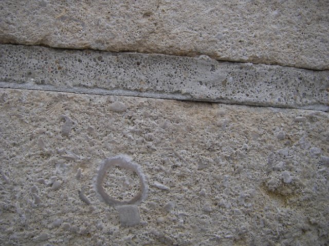 IMGP1483