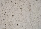 IMGP0788  Calcaire lacustre de Château -Landon. Traces de racines.