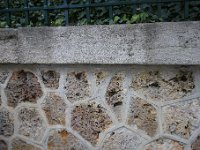 DSC2180  Les moellons sont en calcaire d&#39;Euville. La pierre d&#39;Euville (Meuse) est constituée quasi exclusivement d’articles de crinoïdes- Jurassique supérieur-Oxfordien.