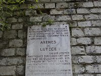 DSC2196