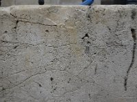 DSC2218  La dernière marche sous les grilles  est en calcaire de Château-Landon (Seine-et-Marne), calcaire lacustre du Ludien Eocène. Des traces de racines, ici avec recristallisation de calcite.