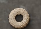 DSC8640  Oursin-Echinoderme- Villers-sur-Mer.