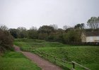 IMGP0479