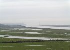 IMG 0737