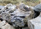 IMG 0757