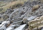 IMG 0761