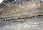 IMG 0762
