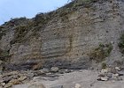 IMG 0768