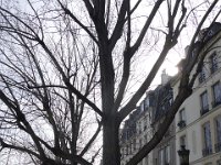 Le quai d&#39;Anjou vu du pont Marie